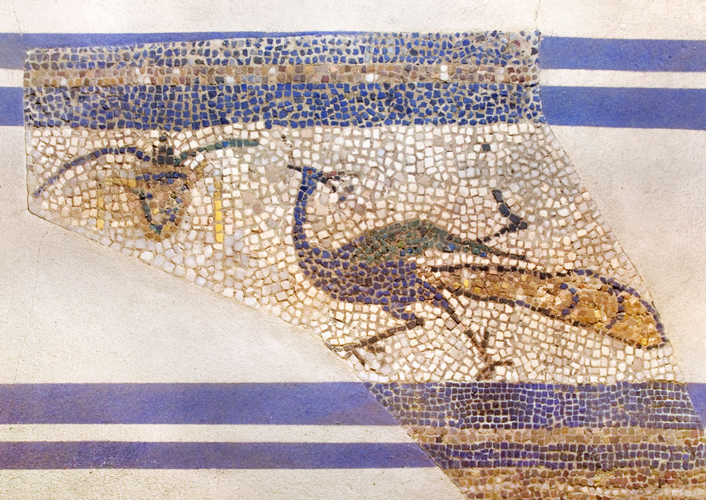 Mosaic amb motius funeraris cristians: paons