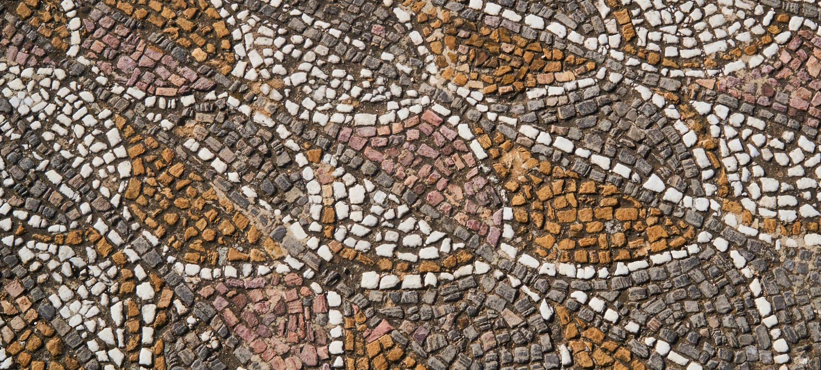 Els primers cristians